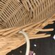 Panier a velo en rotin, osier tresse, avec anse et crochets, vintage
