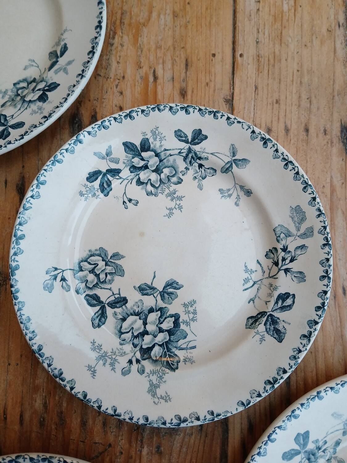 Set of 6 Terre de Fer plates, Acacia model