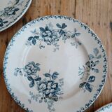 Set of 6 Terre de Fer plates, Acacia model