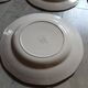 25 old Digoin and Sarreguemines plates
