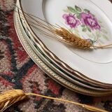 6 flat plates old floral assorted