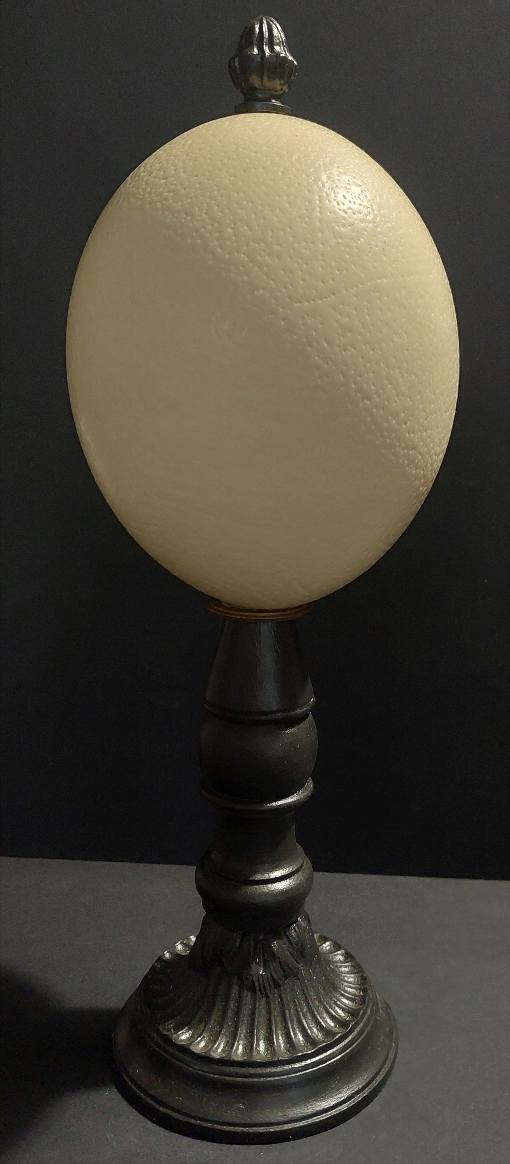Cabinet de Curiosités oeuf d'autruche struthio camelus sur socle