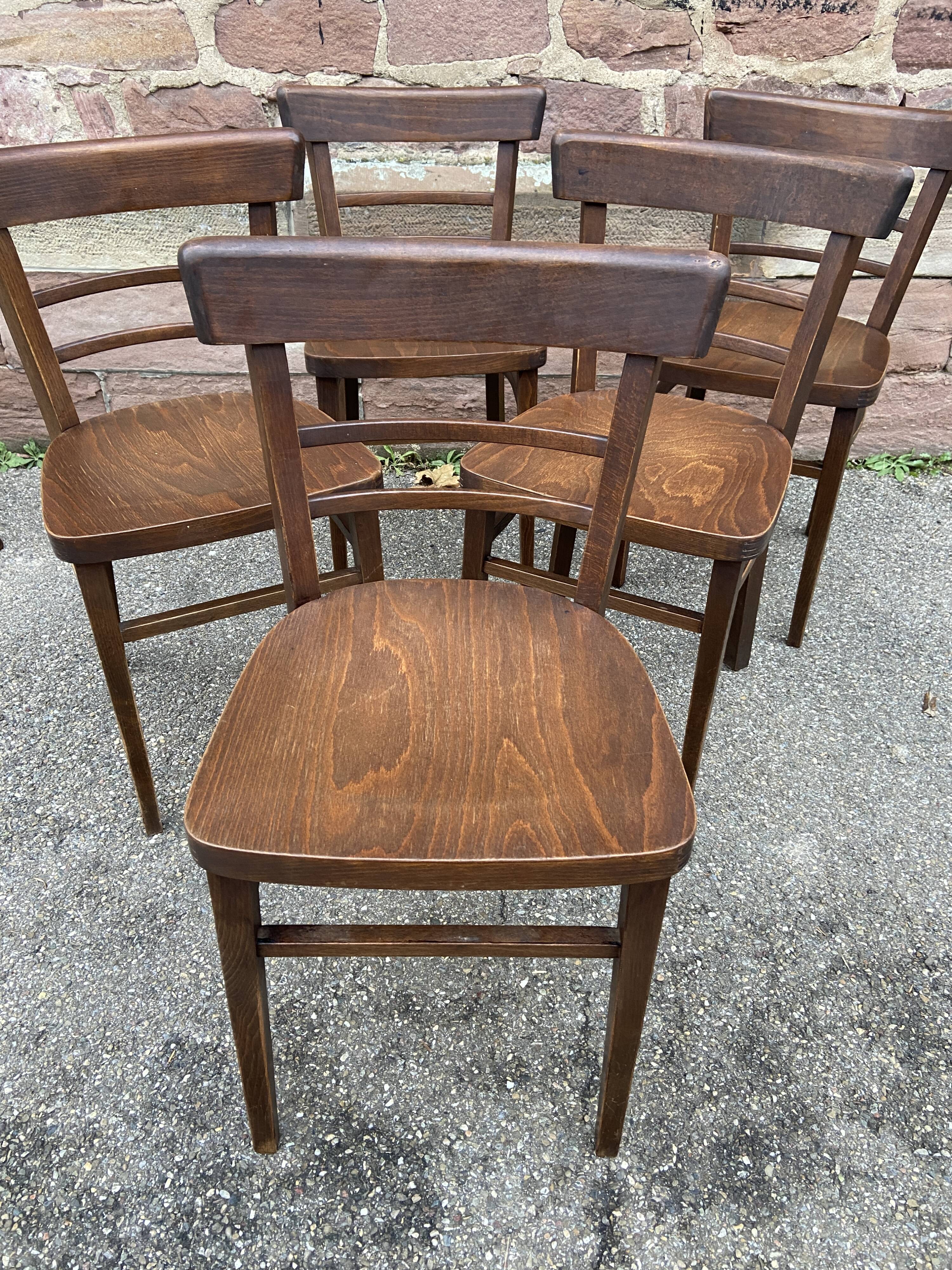 6 Viennese bistro chairs in curved wood, 1960