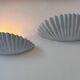 Pair of vintage shell wall lights, matte white, France 1970