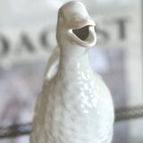 Duck pitcher in slip