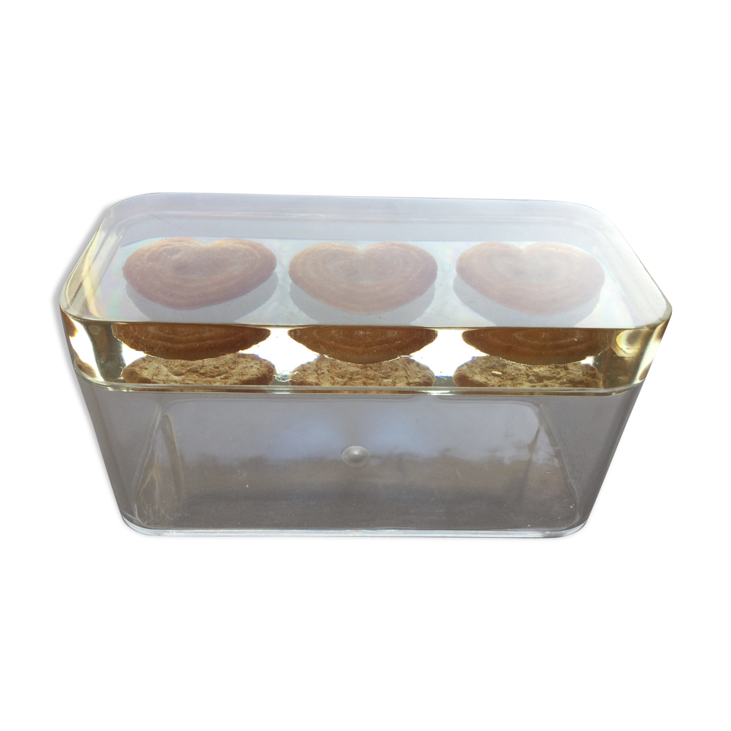 Plexiglass cakes with matching lid