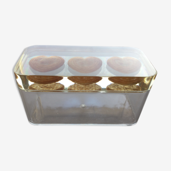 Plexiglass cakes with matching lid