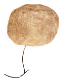 1 lampe cazenave galet