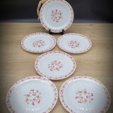 Set 6 flat plates Red and orange flowers