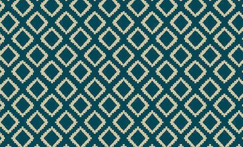 Blue and white patterned home rug