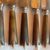 Box of 12 fine table knives from the late 19th century in horn.