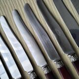 12 cheese knives, fruit handle in horn