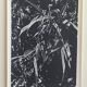 Rosine NUSIMOVICI, Untitled (Poacea I), 1980. Black and white silver print