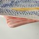 Plat poisson barbotine