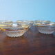 Lot of 8 old dessert cups with granite contour and gilded edges - vintage - 60s