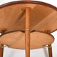 Rare Danish Coffee Table in Teak and Oak 1950s