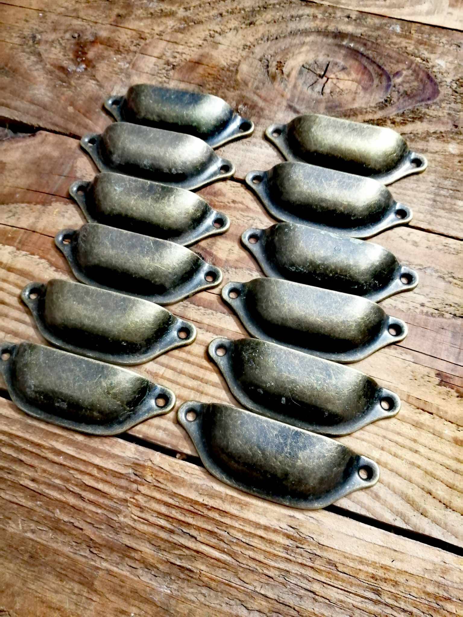 Shell handles x12 - Trade furniture