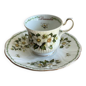 Fine English porcelain cup and saucer - vintage