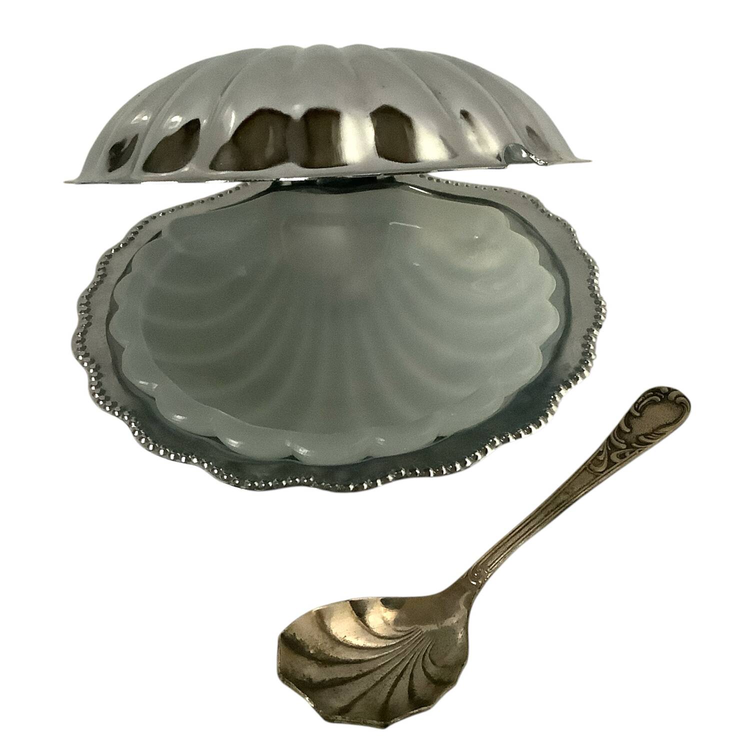 Beurrier coquillage