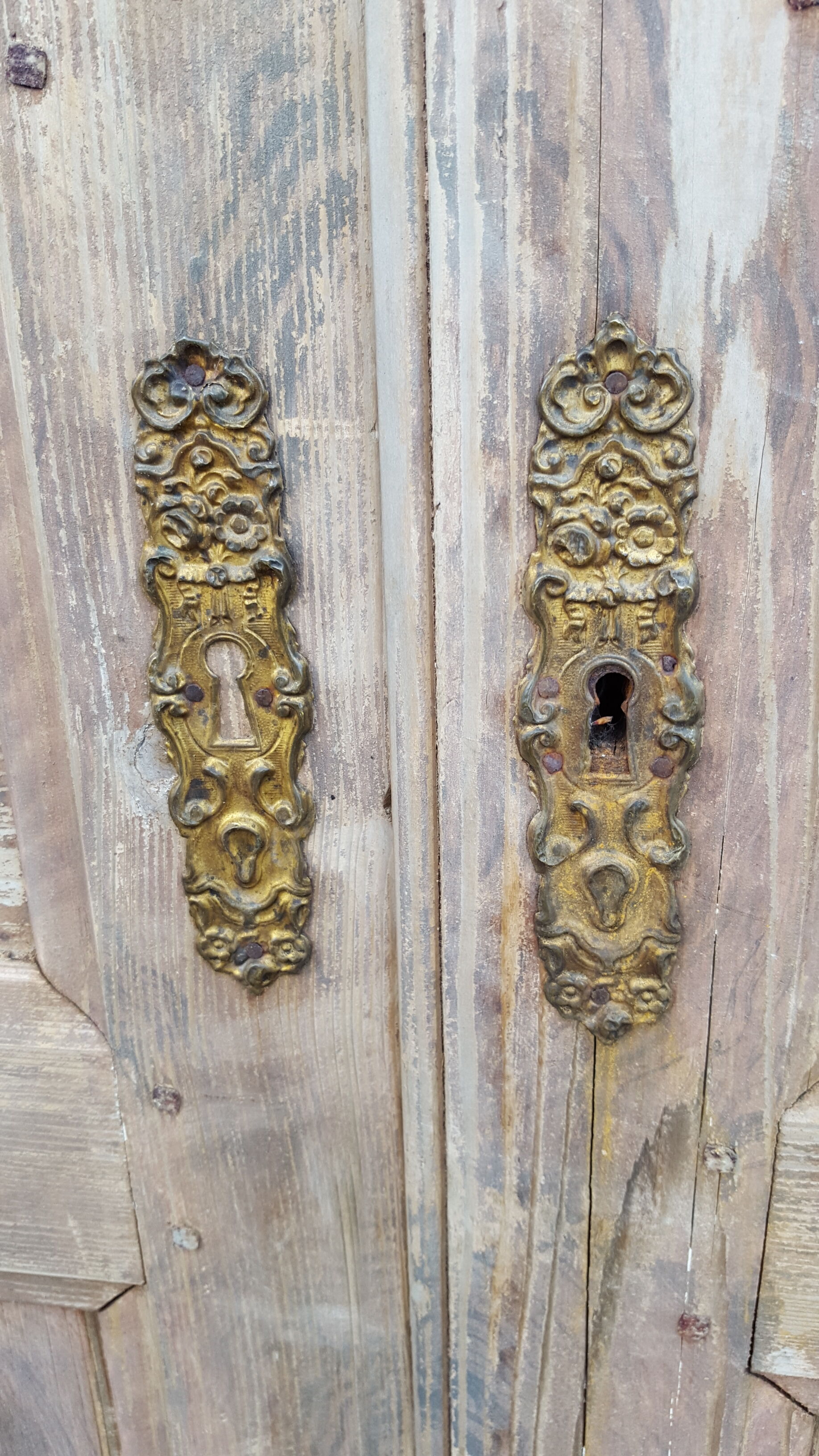 Pair of old doors haired