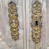 Pair of old doors haired