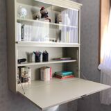 Wall-mounted bookcase display cabinet