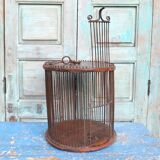 Cage à oiseaux, Inde