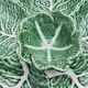 Large "cabbage leaf" dish in barbotine by Bordalo Pinheiro, 1960, Portugal.