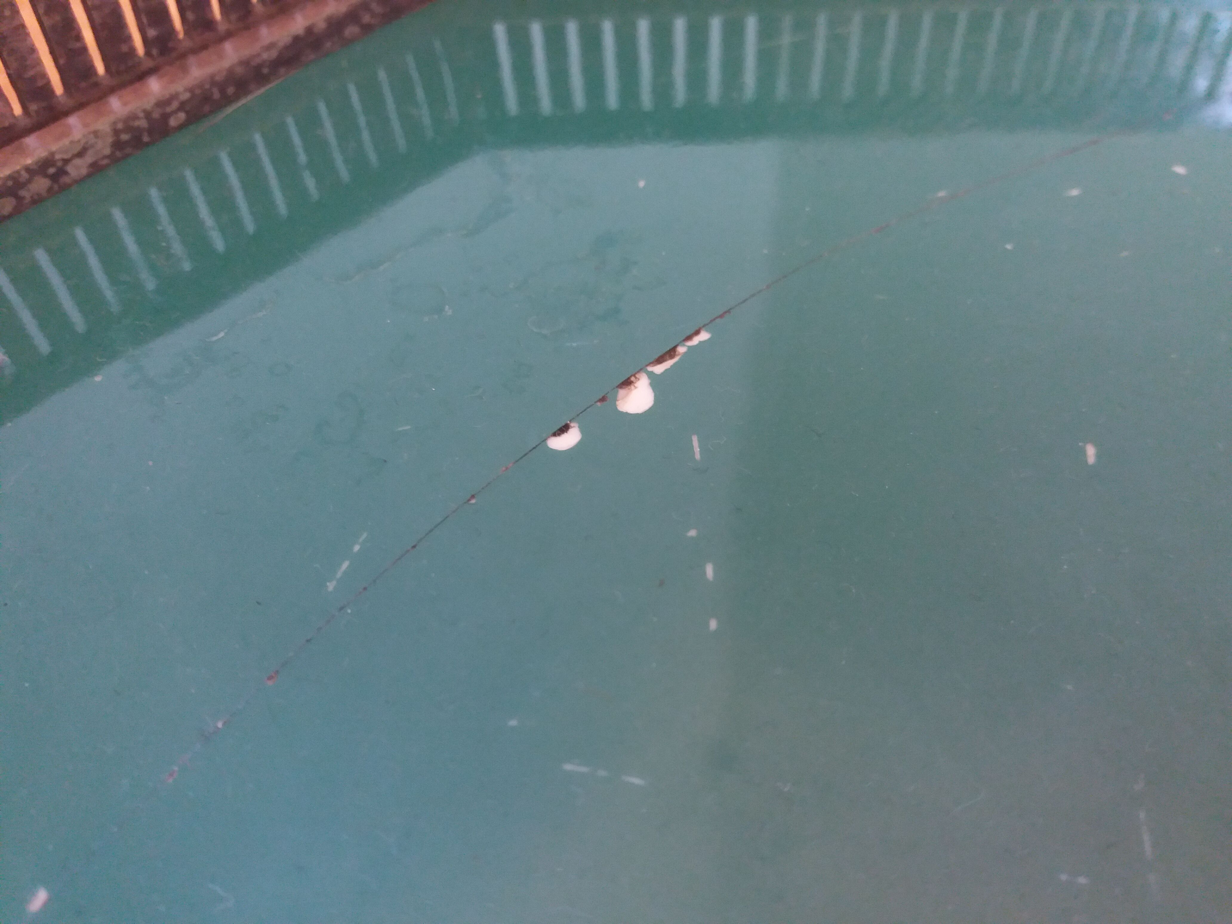 English set Kirby Beard and Co and Royal Worcester 1911 Art Deco