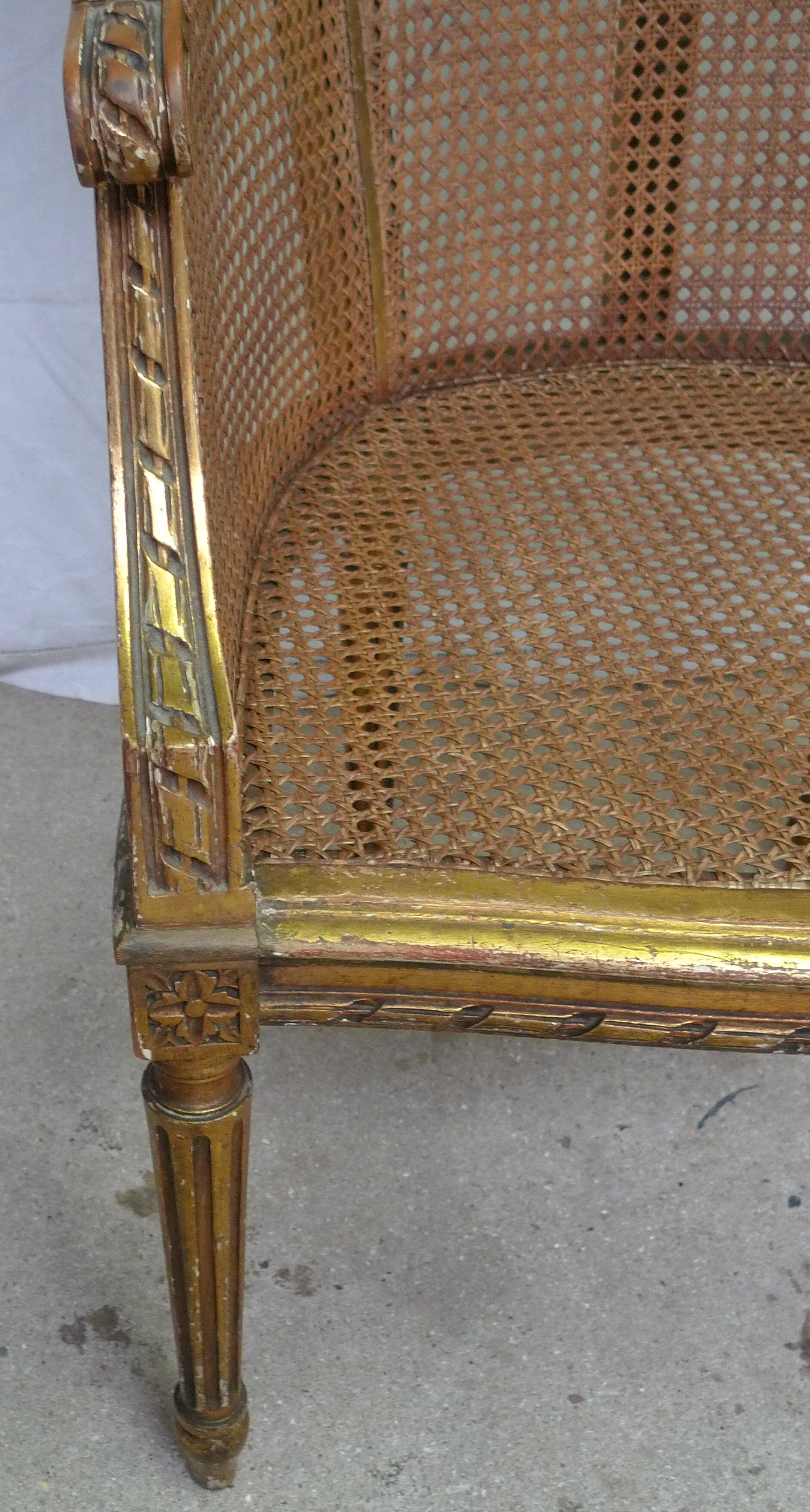 Bergere in ear canning