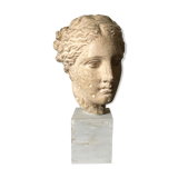19th time Hygeia plaster bust