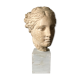 19th time Hygeia plaster bust