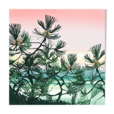A summer feel