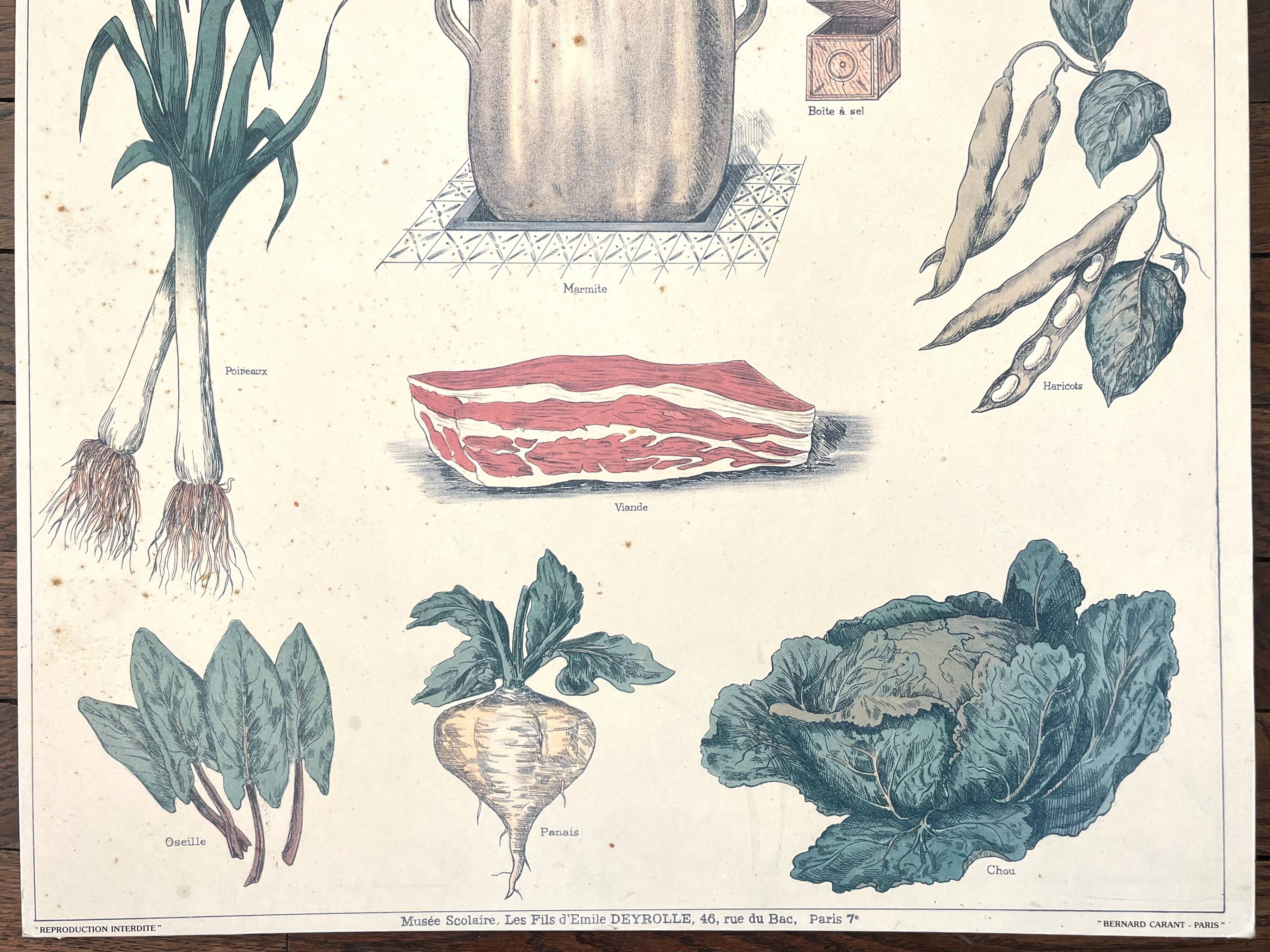 🥕 Ancienne affiche scolaire Deyrolle originale, 542, 1950 - La soupe, les