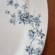 2 dishes Iron Earth