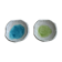 Ensemble 2 coupelles en céramique craquelée vert et bleu