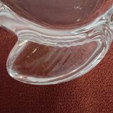 Empty fish-shaped crystal pocket