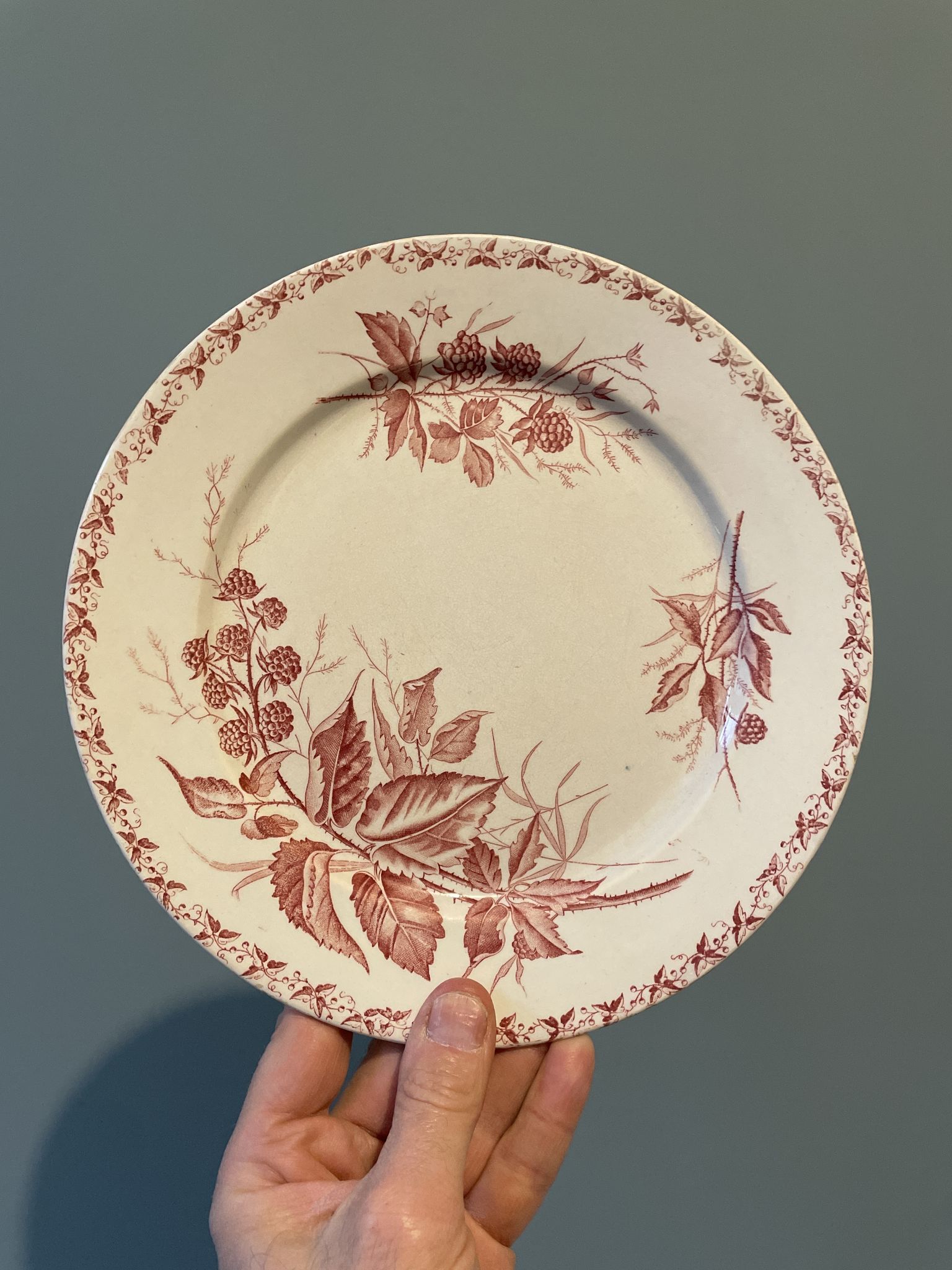 Set of 4 old flat plates Terre de Fer, earthenware of Badonviller