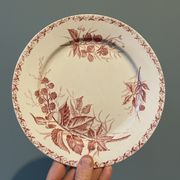 Set of 4 old flat plates Terre de Fer, earthenware of Badonviller