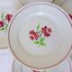 4 K and G Luneville flat plates, Rose Mai model