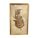 Ancient herbarium – Fern under glass