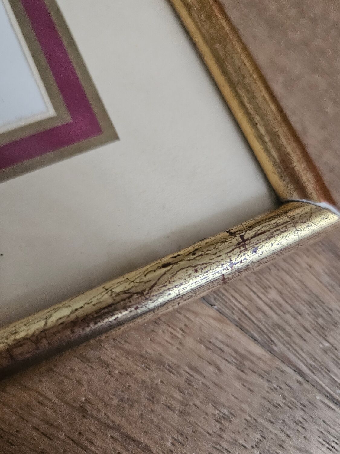 Lithograph Birds on a branch in gilded frame