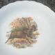 Set de 8 assiettes creuses décors animaux