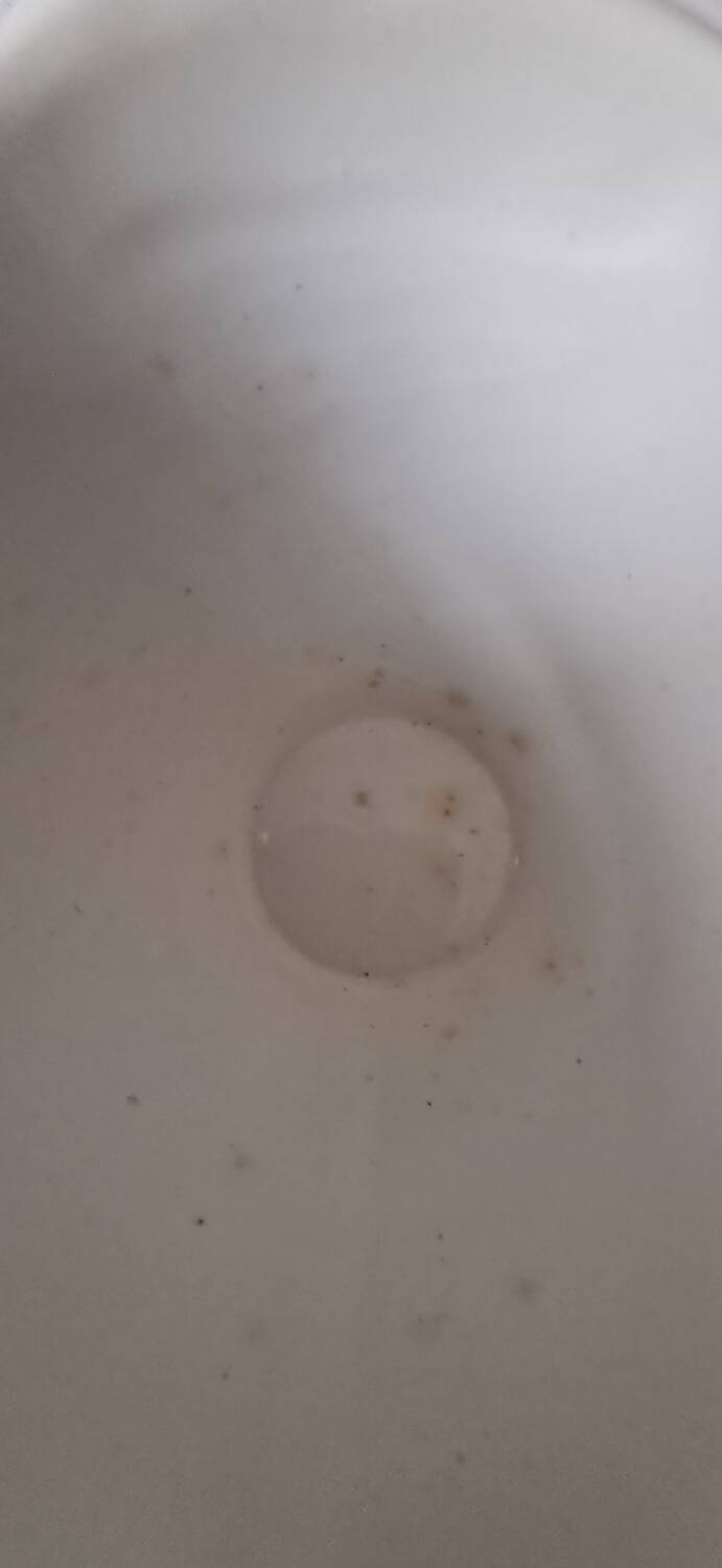 Poupette sauce boat by Digoin Sarreguemines