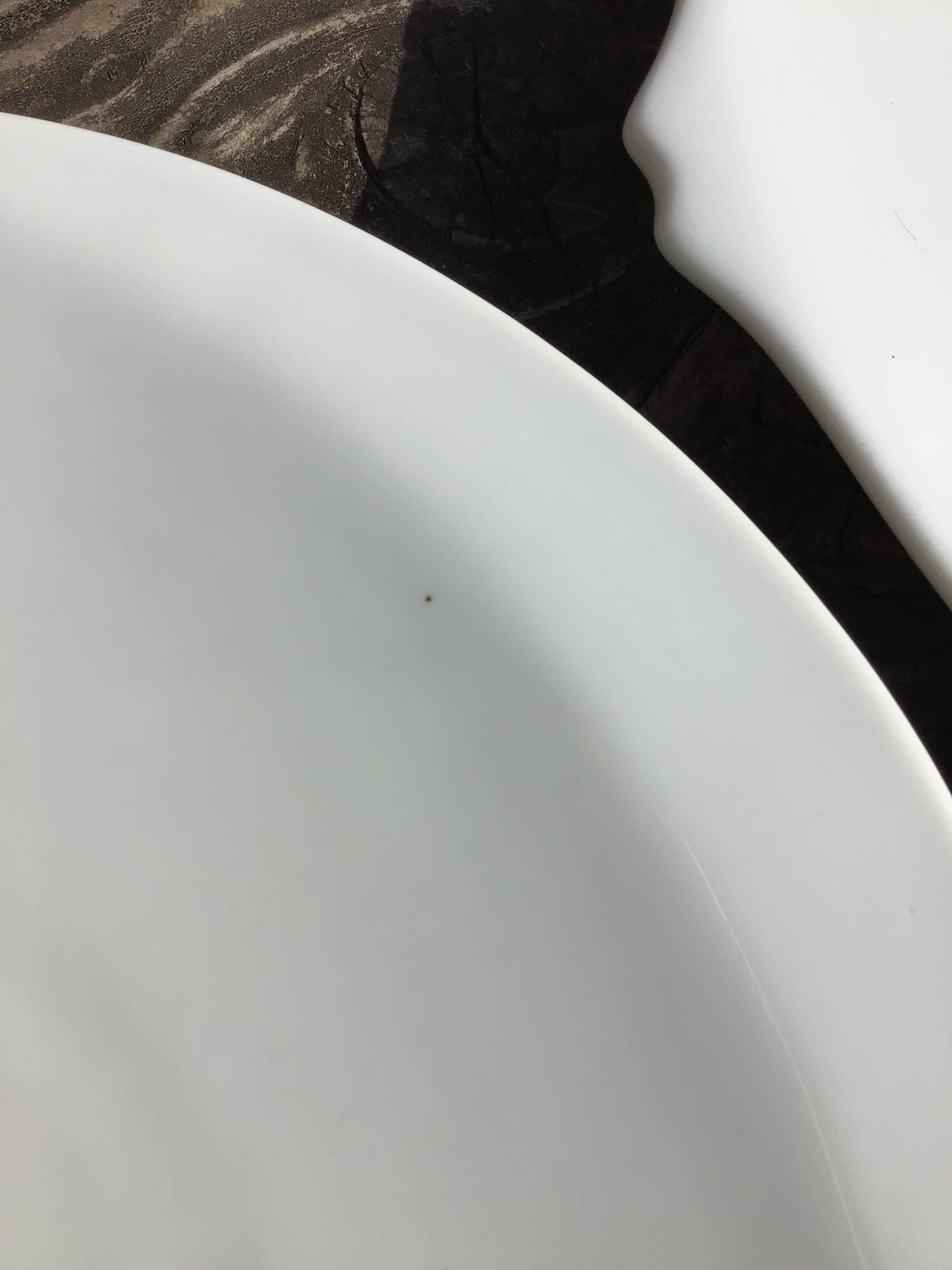 3 assiettes plates porcelaine poisson
