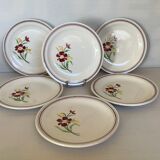 6 anciennes assiettes à dessert fleurs grenat salins France