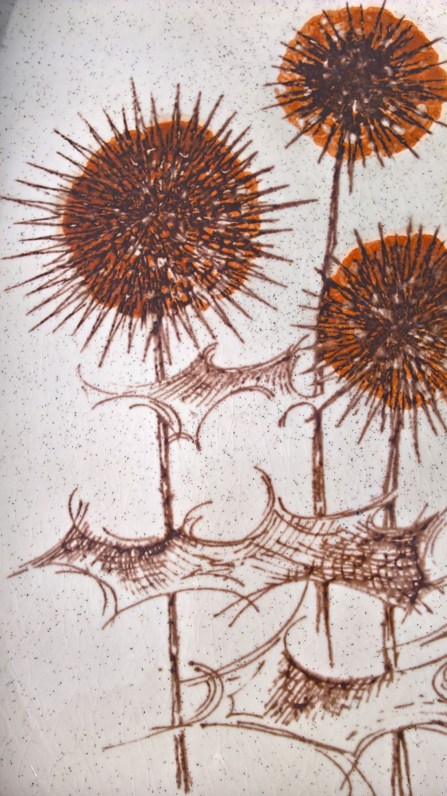 Flat thistles of sarreguemines
