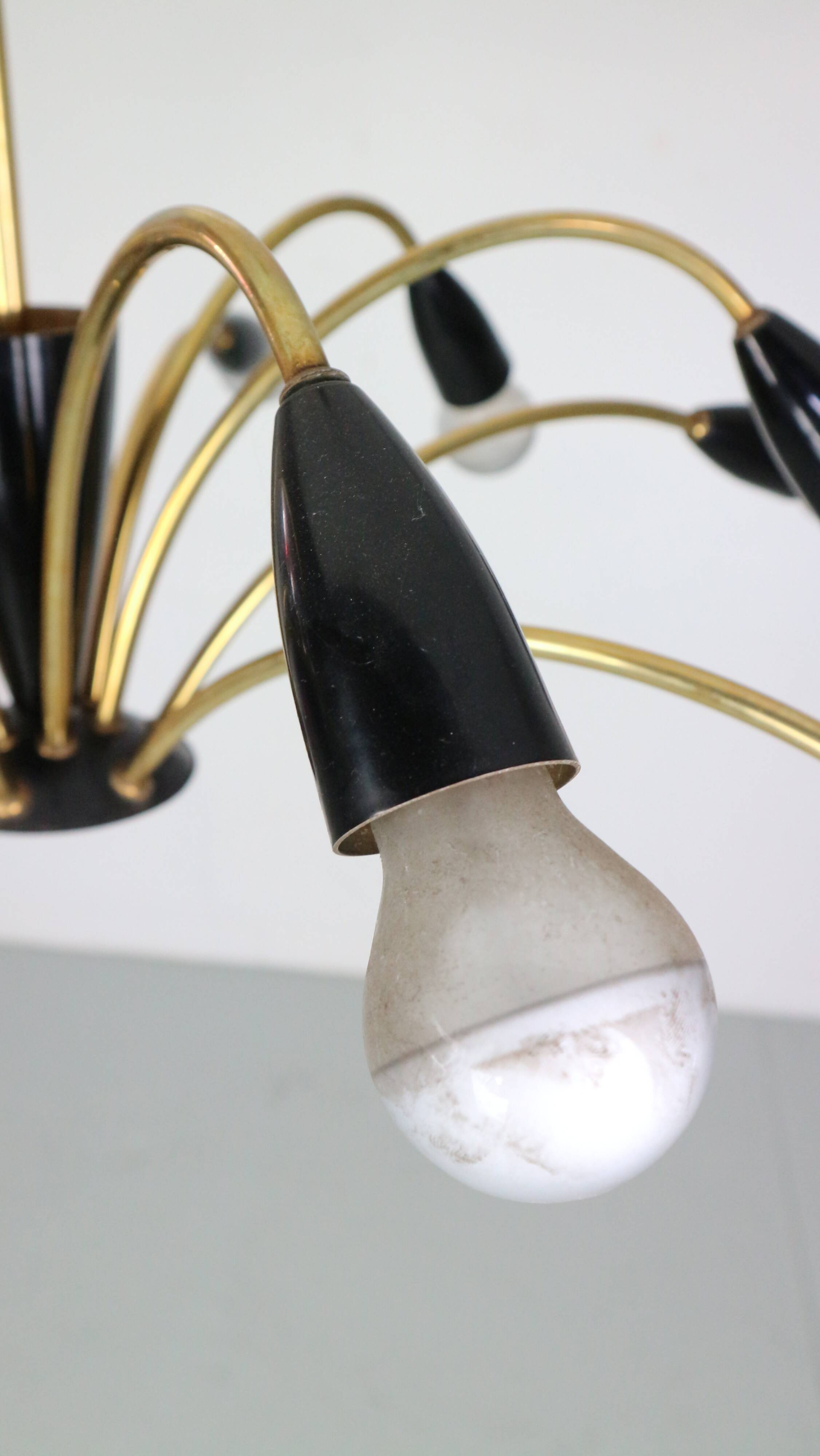 Italian Black and brass 12 arm Spider Chandelier  1950s