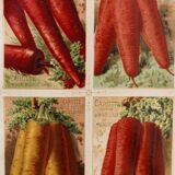 Set of 4 framed prints