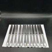 Series 12 entremets knives in silver metal reneka stainless steel blade